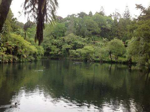 lake surrounded by bush under an overcast sky