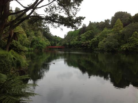 another view of the lake surrounded by bush